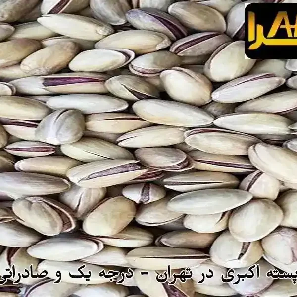 خرید عمده پسته اکبری در تهران - درجه یک و صادراتی