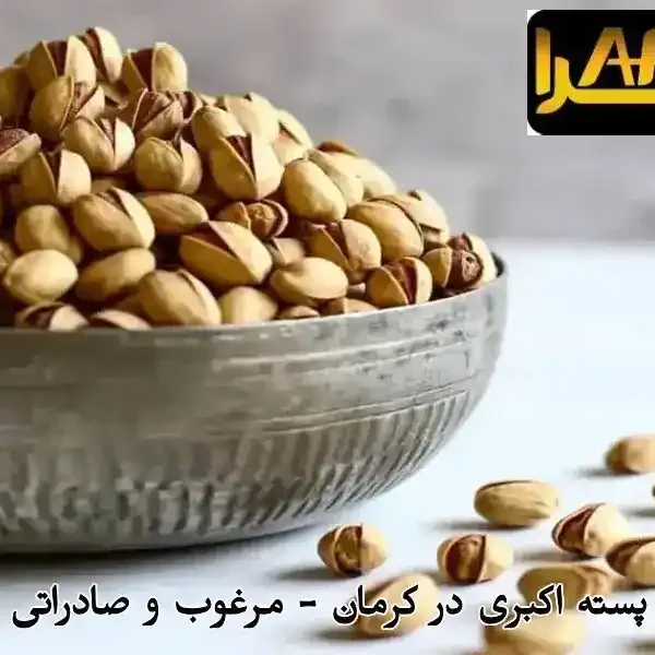 خرید عمده پسته اکبری در کرمان - مرغوب و صادراتی
