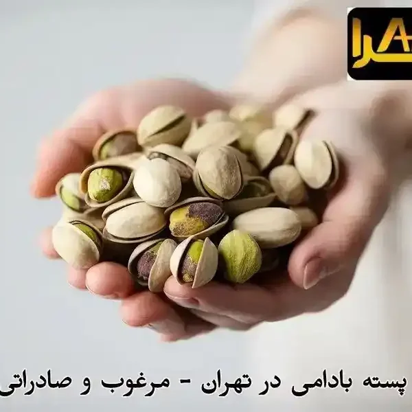 خرید عمده پسته بادامی در تهران - مرغوب و صادراتی