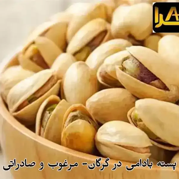 خرید عمده پسته بادامی در گرگان- مرغوب و صادراتی