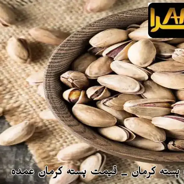خرید عمده پسته کرمان _ قیمت پسته کرمان عمده