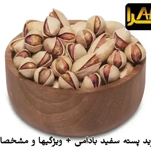 قیمت و خرید پسته سفید بادامی + ویژگیها و مشخصات