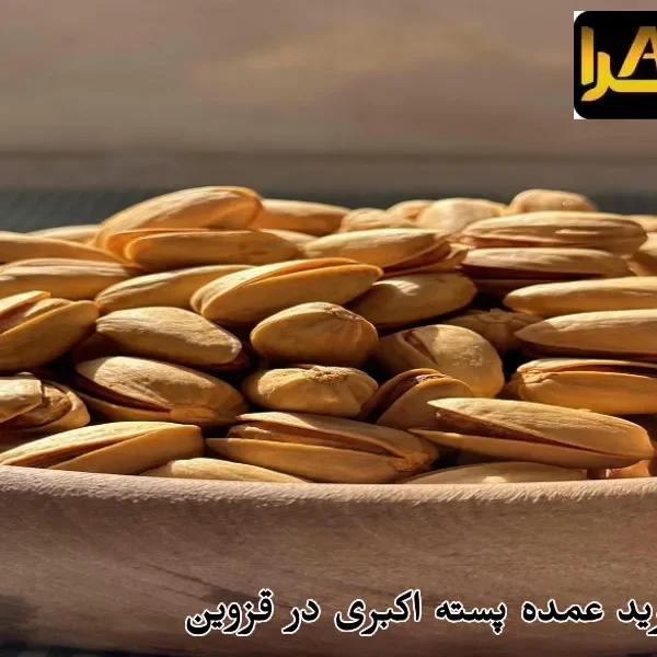 قیمت و خرید عمده پسته اکبری در قزوین