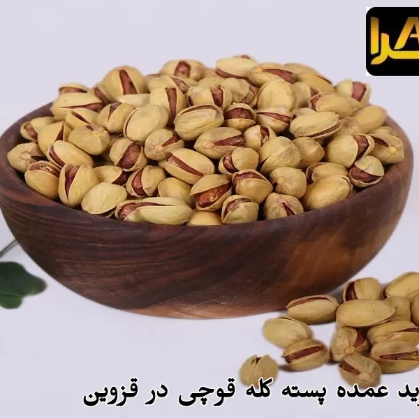 قیمت و خرید عمده پسته کله قوچی در قزوین