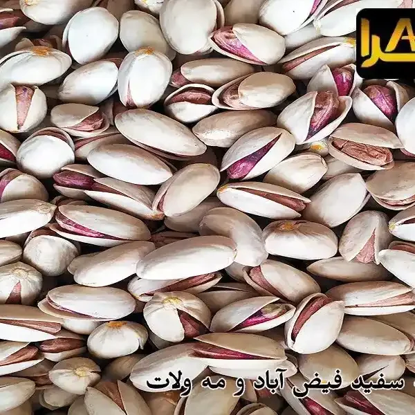 قیمت پسته سفید فیض آباد و مه ولات